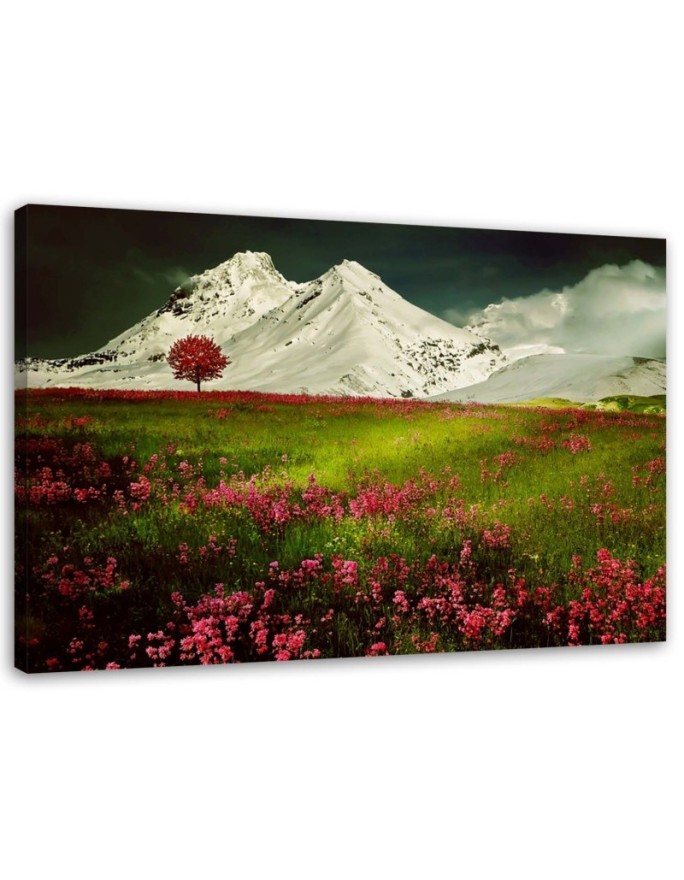 Canvas print modern - Mountains in snow and a colourful meadow | FEEBY