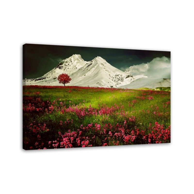 Canvas print modern - Mountains in snow and a colourful meadow | FEEBY