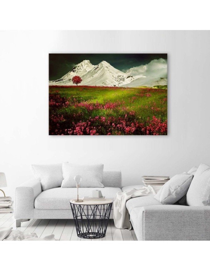Canvas print modern - Mountains in snow and a colourful meadow | FEEBY