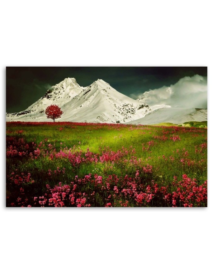 Canvas print modern - Mountains in snow and a colourful meadow | FEEBY