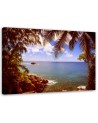 Canvas print - Rocky beach landscape | FEEBY