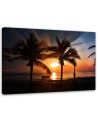 Palm trees by the sea at sunset - Canvas print. Buy now| | FEEBY