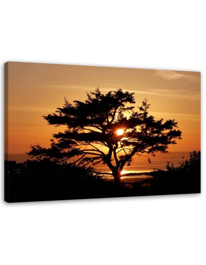 Tree by the sea at sunset - Canvas prints for bedroom | FEEBY