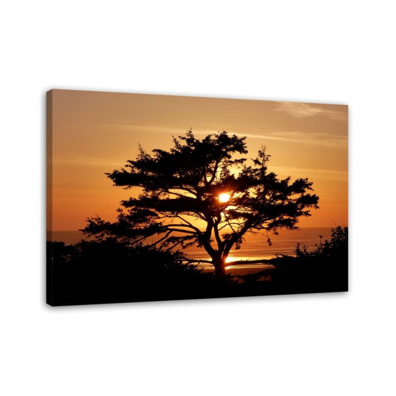 Tree by the sea at sunset - Canvas prints for bedroom | FEEBY