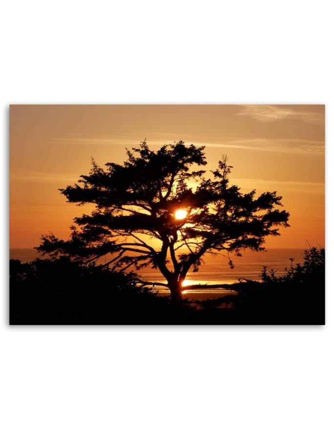 Tree by the sea at sunset - Canvas prints for bedroom | FEEBY