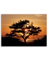 Tree by the sea at sunset - Canvas prints for bedroom | FEEBY