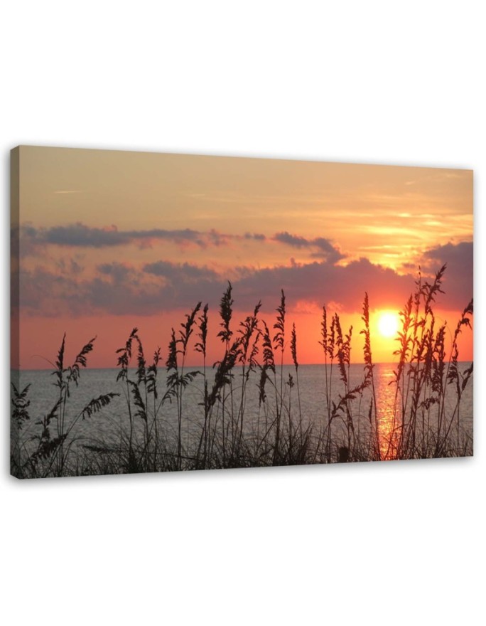 Canvas print View of the sea