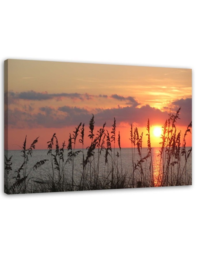 Beach sunset - Picture for the living room | FEEBY