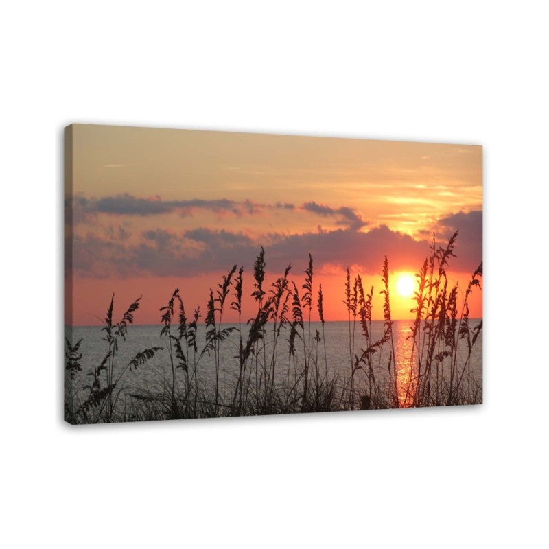 Beach sunset - Picture for the living room | FEEBY