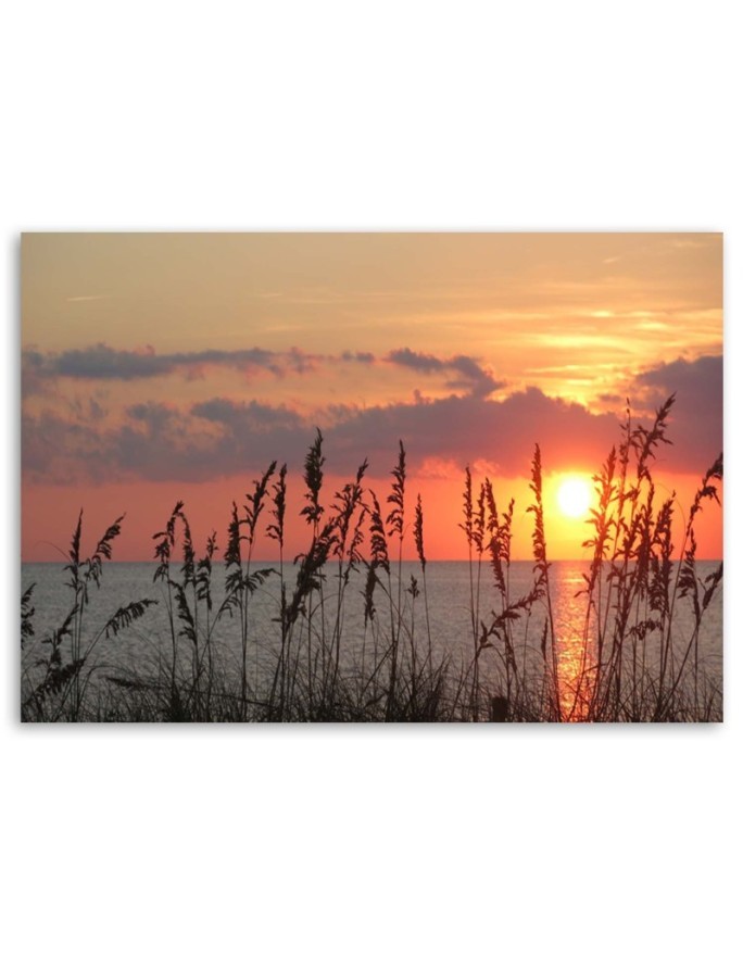 Beach sunset - Picture for the living room | FEEBY