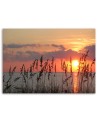 Beach sunset - Picture for the living room | FEEBY