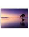 Canvas painting for living room - Lone tree on a lake | FEEBY
