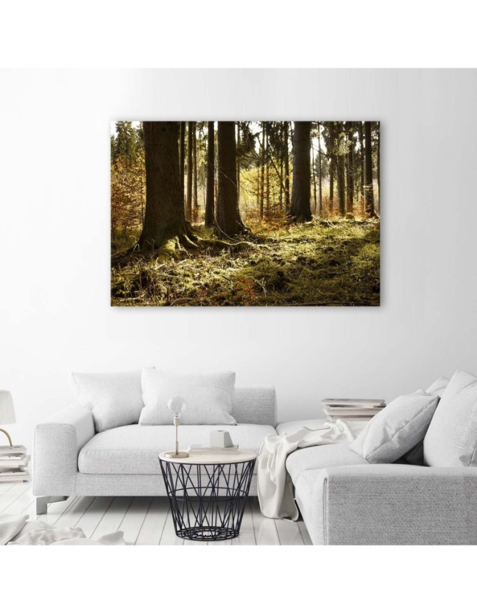 Canvas prints for the living room - Forest nature landscape | FEEBY