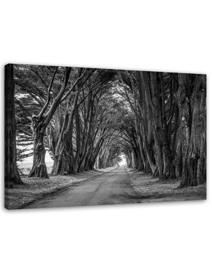 Canvas painting - Park avenue of trees | FEEBY
