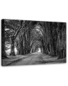 Canvas painting - Park avenue of trees | FEEBY