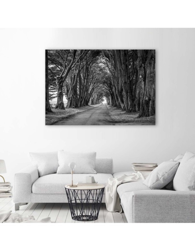 Canvas painting - Park avenue of trees | FEEBY