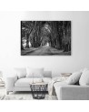Canvas painting - Park avenue of trees | FEEBY
