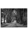 Canvas painting - Park avenue of trees | FEEBY