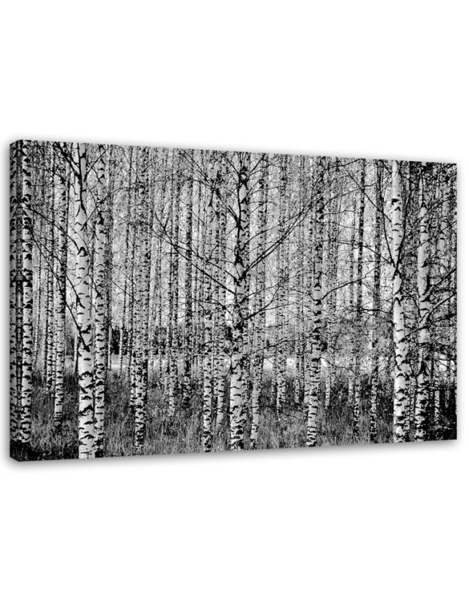 Modern Canvas painting for bedroom - Birch forest black and white | FEEBY