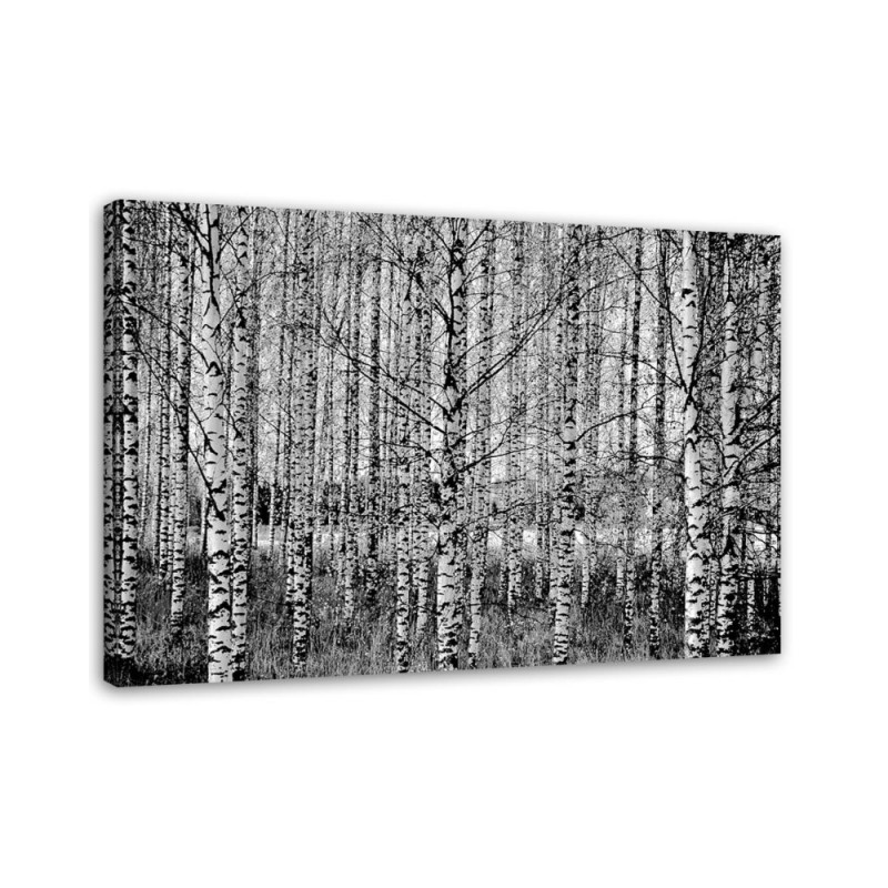 Modern Canvas painting for bedroom - Birch forest black and white | FEEBY