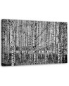 Modern Canvas painting for bedroom - Birch forest black and white | FEEBY