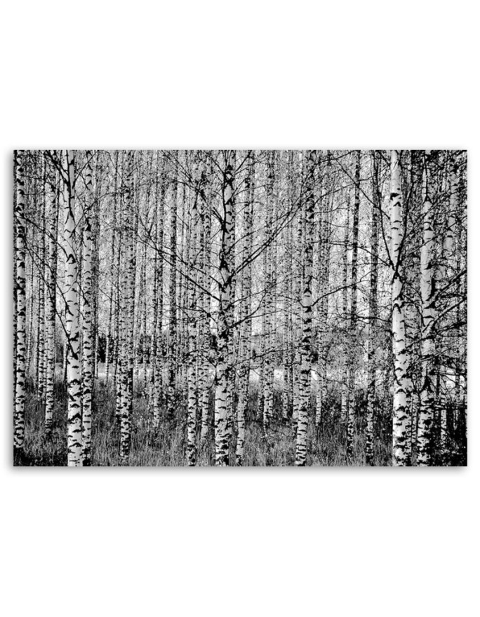 Modern Canvas painting for bedroom - Birch forest black and white | FEEBY