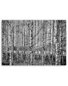 Modern Canvas painting for bedroom - Birch forest black and white | FEEBY