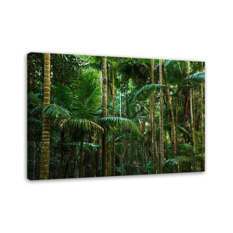 Canvas prints for bedroom modern - Green palm forest | FEEBY
