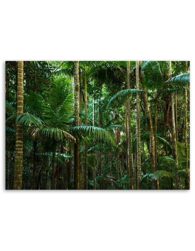 Canvas prints for bedroom modern - Green palm forest | FEEBY