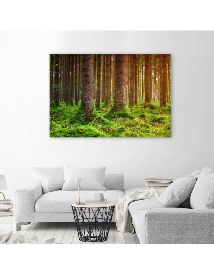 Canvas painting for living room - Forest trunks overgrown with moss | FEEBY