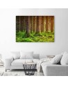 Canvas painting for living room - Forest trunks overgrown with moss | FEEBY