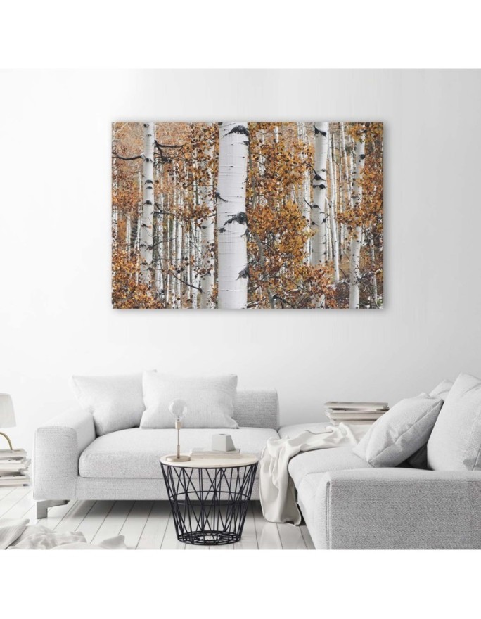 Canvas print modern - Birch forest nature | FEEBY