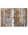 Canvas print modern - Birch forest nature | FEEBY