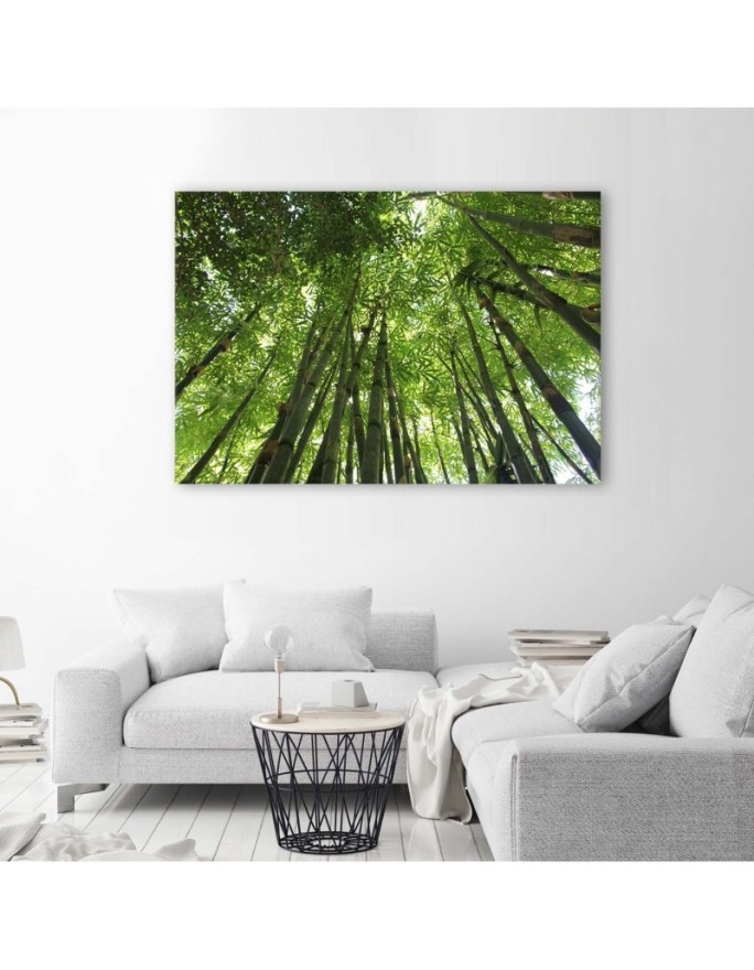 Canvas print - Bamboo forest nature landscape | FEEBY