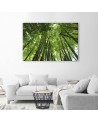 Canvas print - Bamboo forest nature landscape | FEEBY