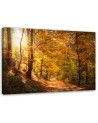 Canvas print - Autumn forest nature | FEEBY