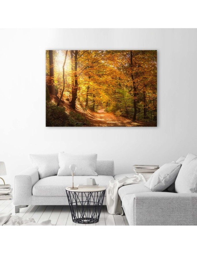 Canvas print - Autumn forest nature | FEEBY