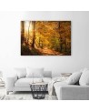 Canvas print - Autumn forest nature | FEEBY