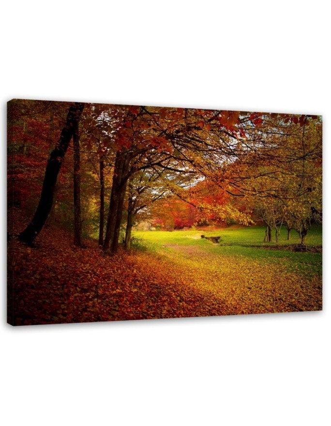Modern Canvas painting for living room - Forest autumn glade | FEEBY