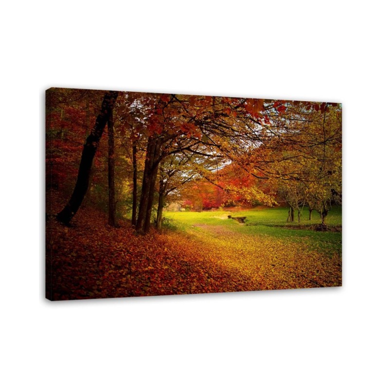 Modern Canvas painting for living room - Forest autumn glade | FEEBY