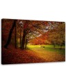 Modern Canvas painting for living room - Forest autumn glade | FEEBY