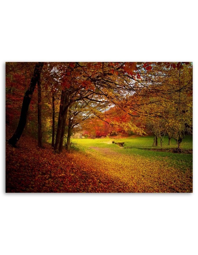 Modern Canvas painting for living room - Forest autumn glade | FEEBY