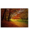 Modern Canvas painting for living room - Forest autumn glade | FEEBY