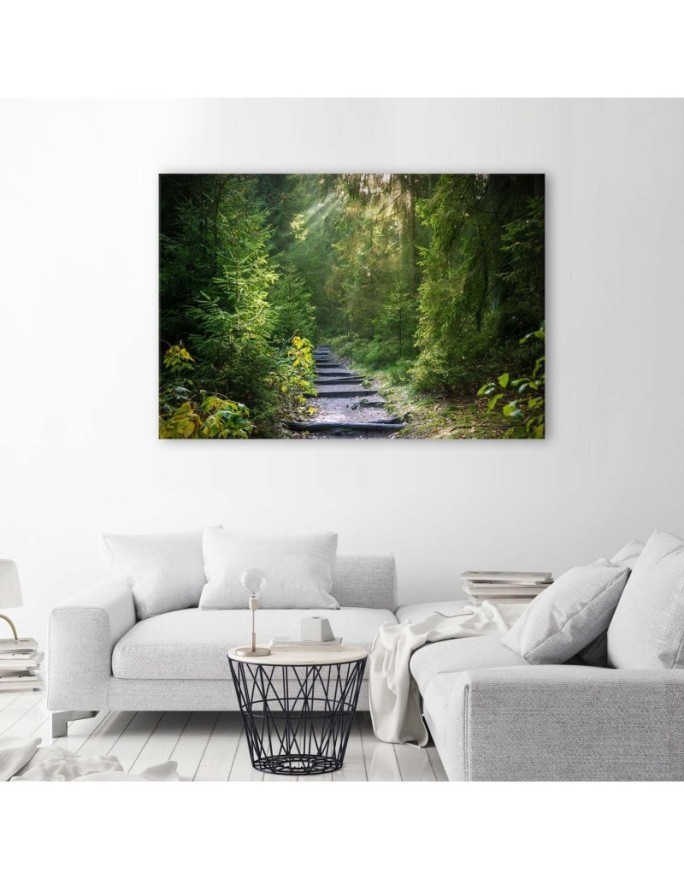 Path in a green forest - Canvas prints for the living room | FEEBY