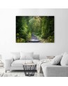 Path in a green forest - Canvas prints for the living room | FEEBY