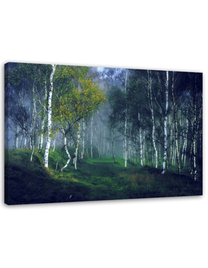 Canvas print Birch trees in...