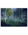 Forest of birches in the mist - Canvas art painting | FEEBY