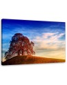 Tree on a hill - Canvas painting for the living room | FEEBY