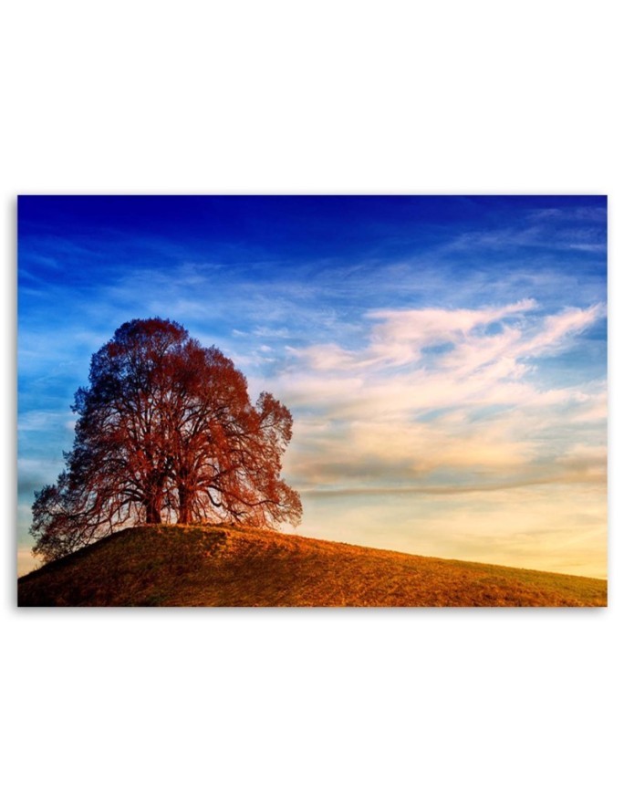 Tree on a hill - Canvas painting for the living room | FEEBY