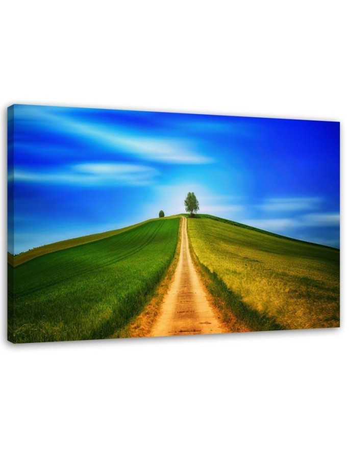 Road to the hill - Canvas print modern | FEEBY
